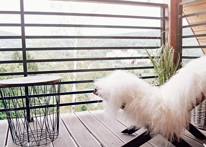 Zimowy Boutique - Adults Only Vege